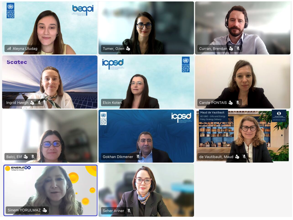 A screenshot of an online webinar showing twelve participants in a video‑conference grid. Each tile displays a participant seated and facing the camera, with name labels and some organizational logos visible in virtual backgrounds.