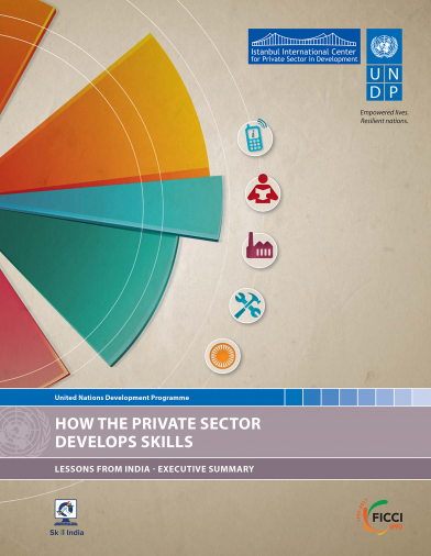 How the Private Sector Develops Skills: Lessons from India