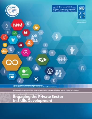 Best Practices Guidelines and Toolkit on Engaging the Private Sector in Skills Development