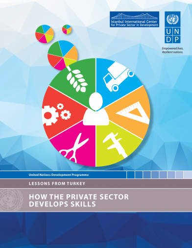 How The Private Sector Develops Skills: Lessons From Turkey