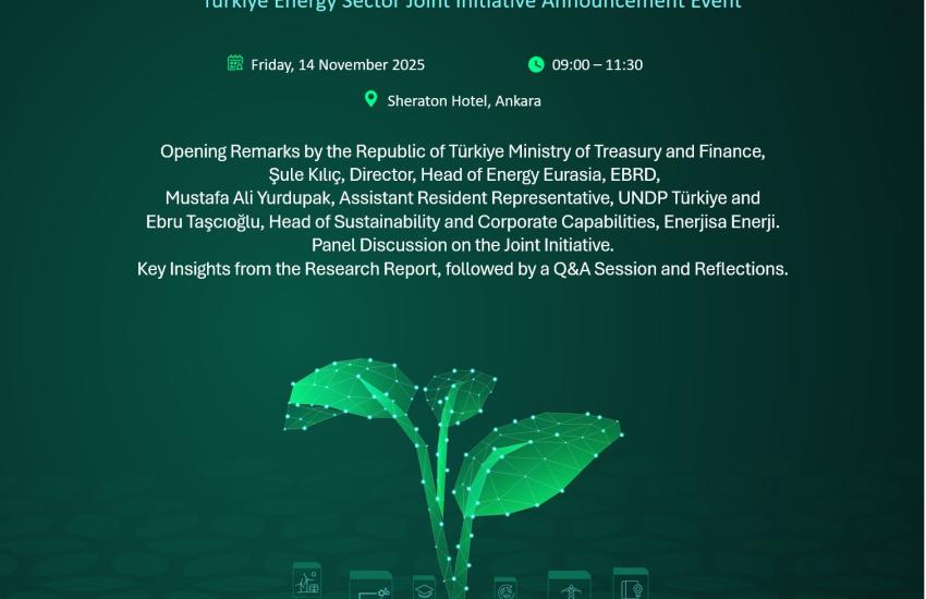 The Green and Digital Skills Development in the Turkish Energy Sector Joint Initiative Announcement Event