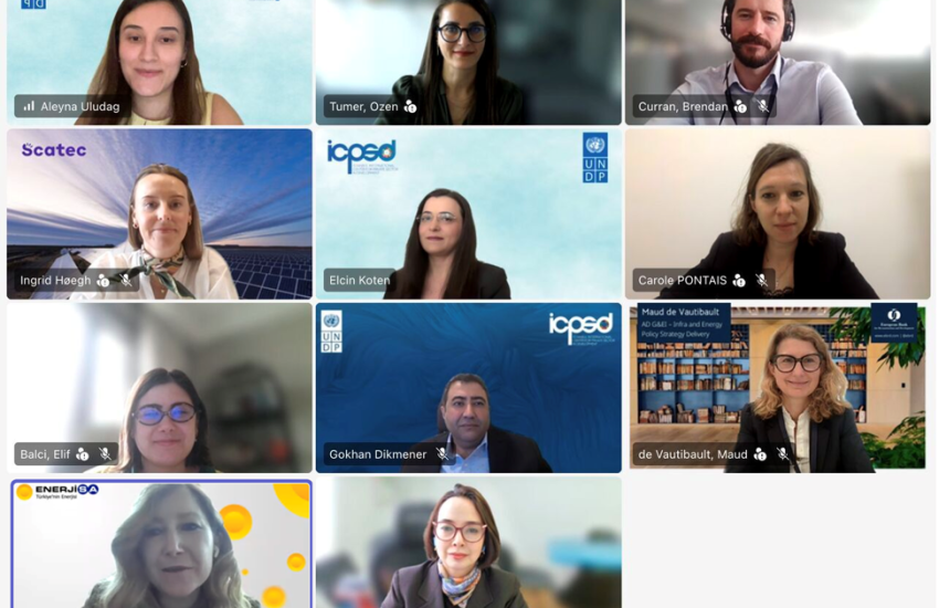 A screenshot of an online webinar showing twelve participants in a video‑conference grid. Each tile displays a participant seated and facing the camera, with name labels and some organizational logos visible in virtual backgrounds.