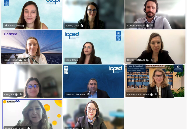 A screenshot of an online webinar showing twelve participants in a video‑conference grid. Each tile displays a participant seated and facing the camera, with name labels and some organizational logos visible in virtual backgrounds.